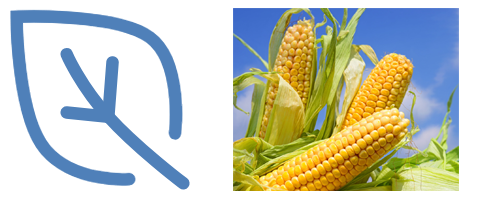 荒山野林扒衣襟吸奶头视频